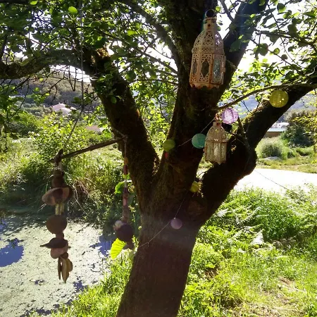 Quinta Algarve Relvinhas Εξοχικό σπίτι *