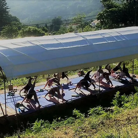 Quinta Algarve Relvinhas Monchique