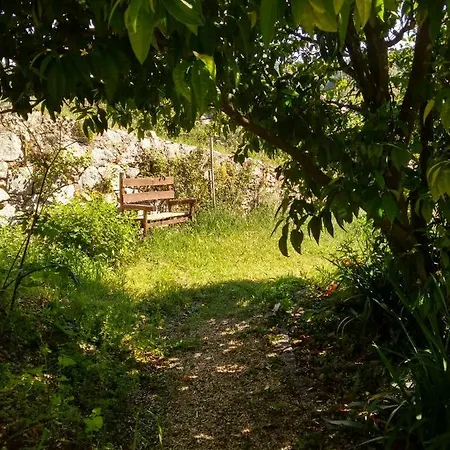 Quinta Algarve Relvinhas Landhaus *