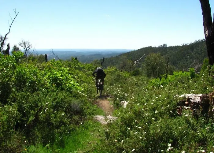 Quinta Algarve Relvinhas